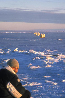 Steven Kazlowski in the Arctic