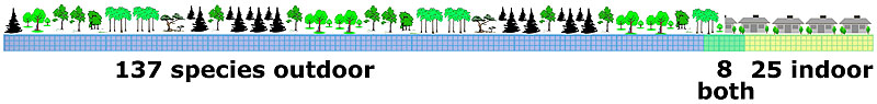 Pictorial bar graph of indoor and outdoor spider species in Seattle