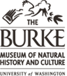 Burke logo