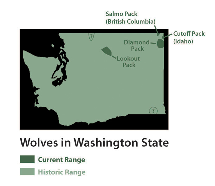 Wolves and Wild Lands in the 21st Century
