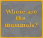 Where are the Mammals?