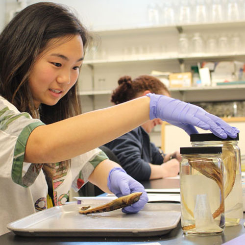 a teenage girl wears gloves while holding a fish specimen up close