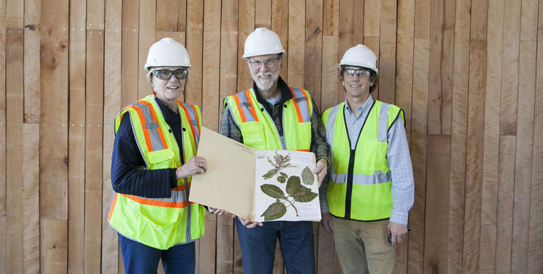 Three Burke Museum staff wear hardhats and safety vests while moving the first object into the new Burke Museum--a pressed plant specimen