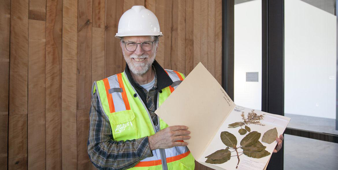 A man wearing a hard hat and vest smiles while holding the madrone specimen being moved into the New Burke