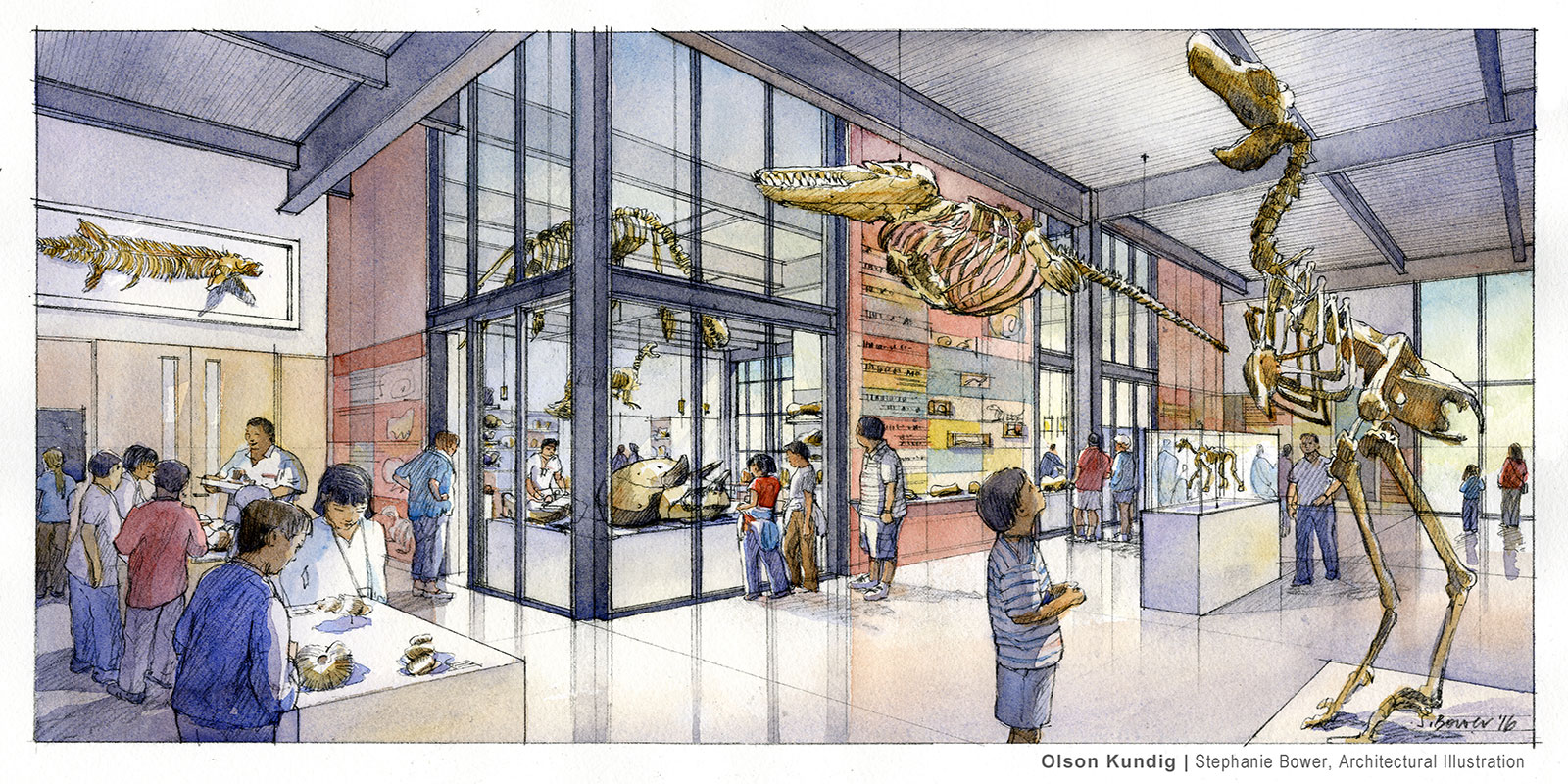 Illustration of the New Burke paleontology collections space