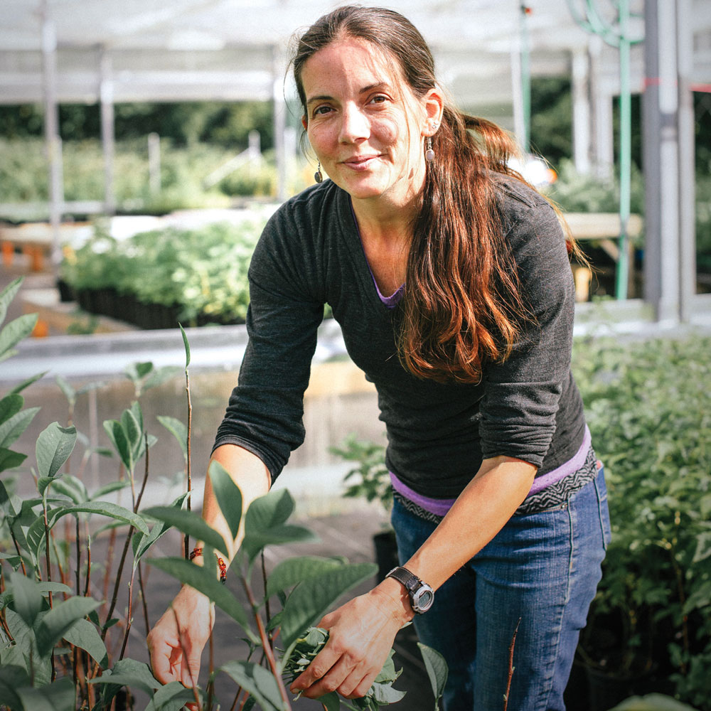 A woman in a greenhouse touching plants