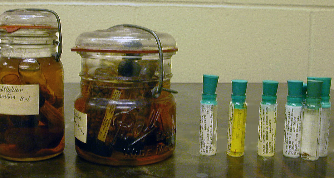 specimens in jars and vials