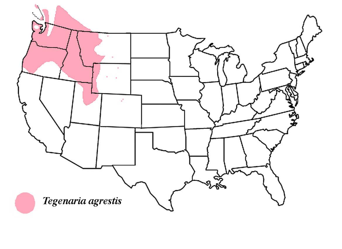 map of hobo spider locations in pacific northwest