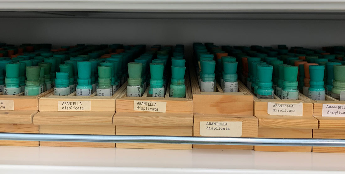 small vials in wooden boxes on the collection shelves