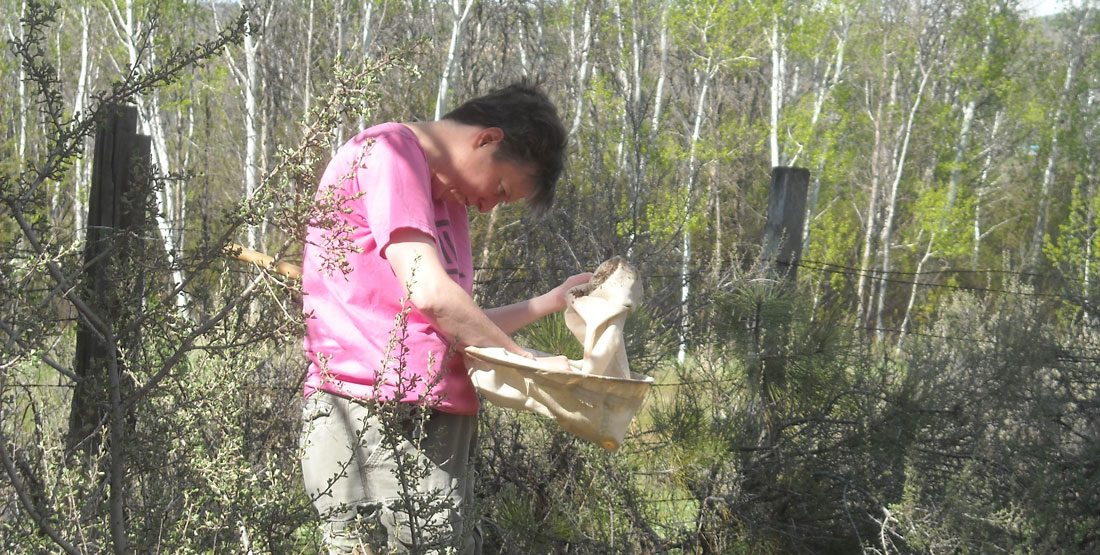 A man in the woods looking down into his bag