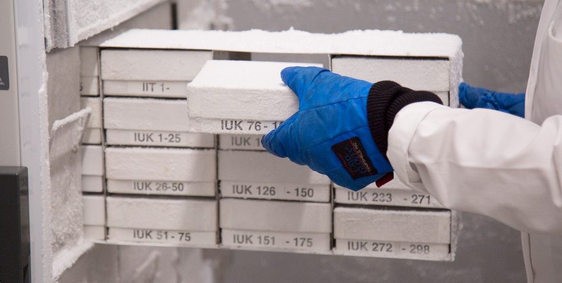 close up of a freezer drawer containing smaller boxes of tissue samples