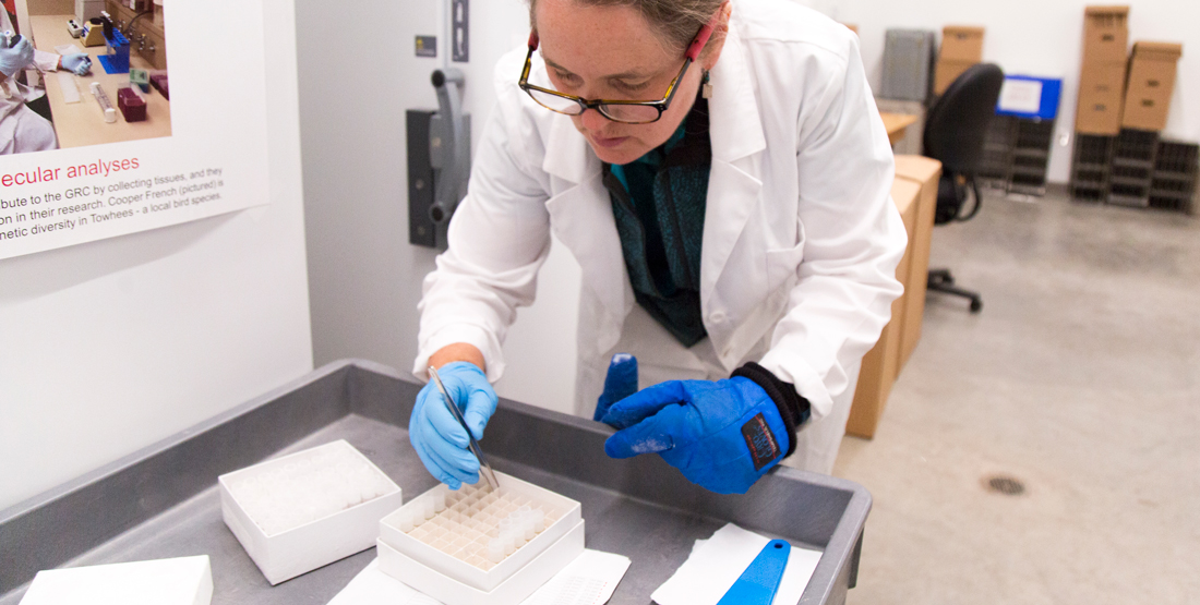 a woman kneels down as she reaches for a small vial containing tissue samples