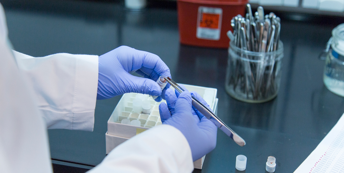 close up of volunteers gloved hands placing small tissue sample into vial 