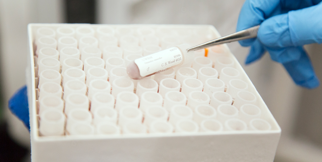 close up of a small plastic vial with tissue samples inside