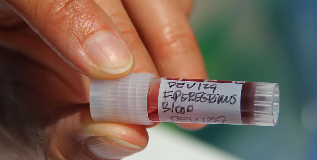 A hand holds a vial of blood with a label on it