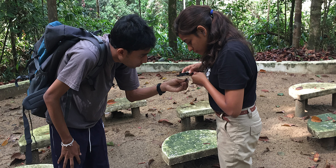 Two people hold and measure a lizard in the rainforest