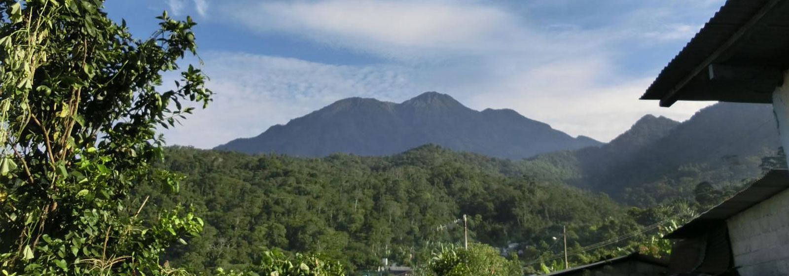 scenic view of the area where they were working