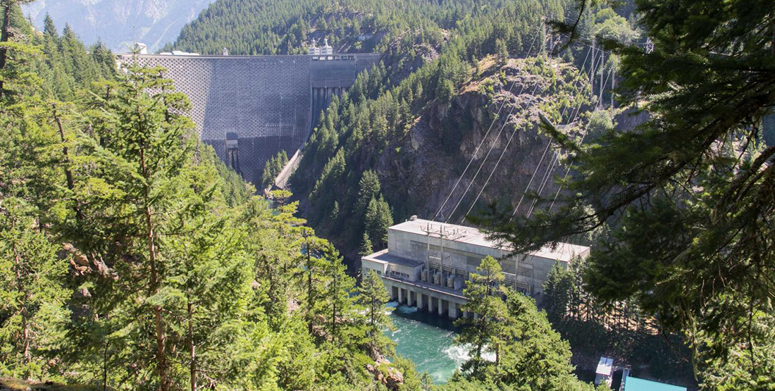 scenic photo of a dam in the dense forest