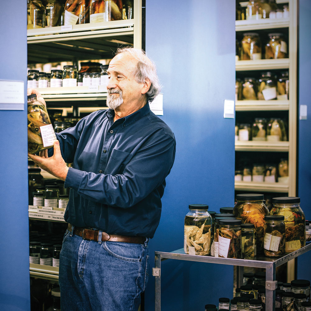 A male researcher among shelves of fish collections holds a jar containing a fish specimen