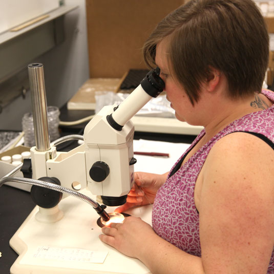 a woman looks into a microscope