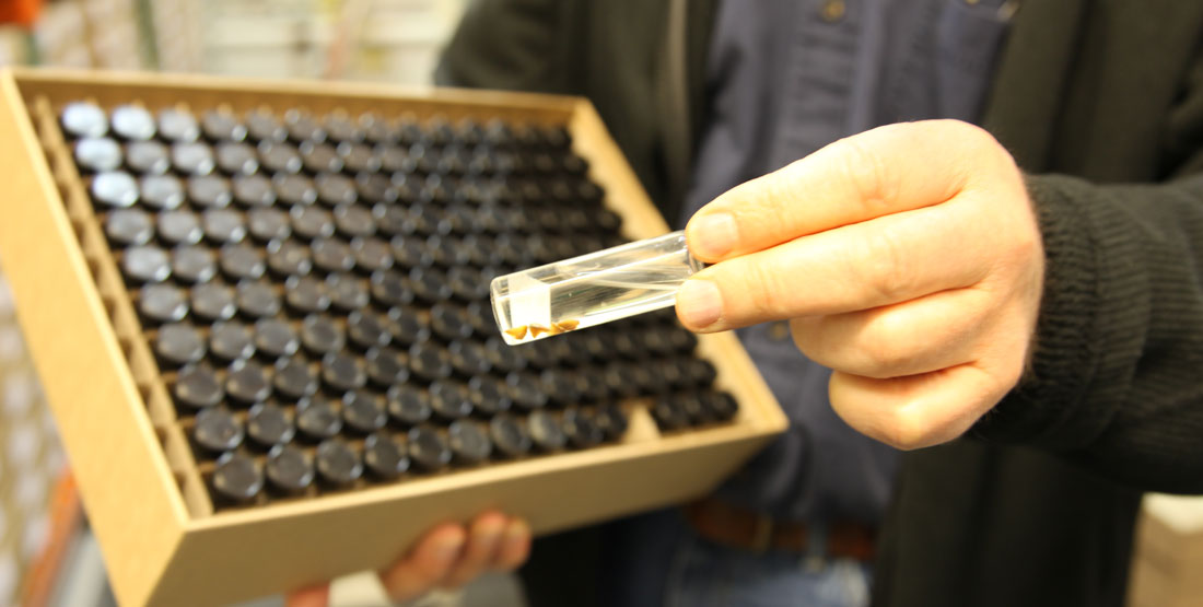 A hand holds a vial with a black cap above a drawer with more vials