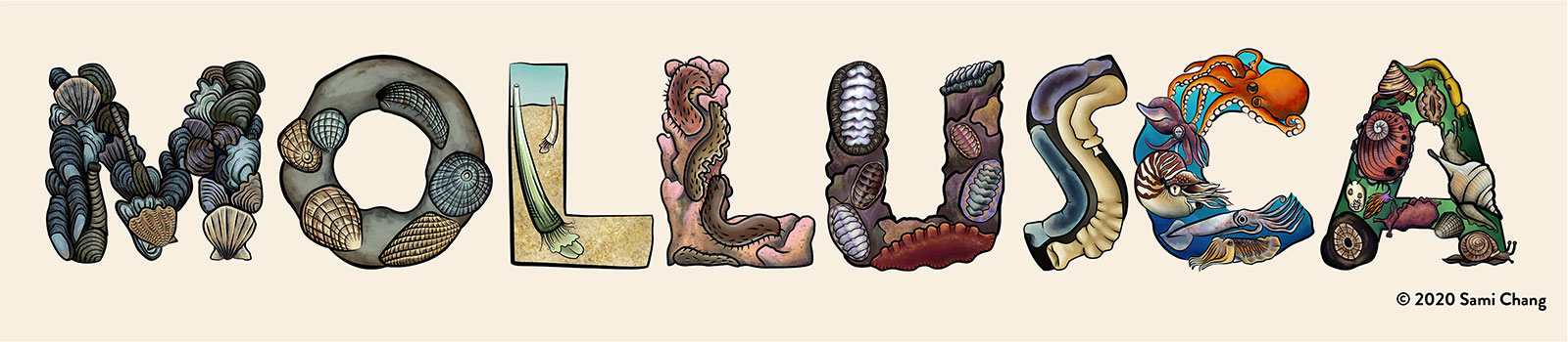 MOLLUSCA spelled out, each letter illustrated with a different mollusc group