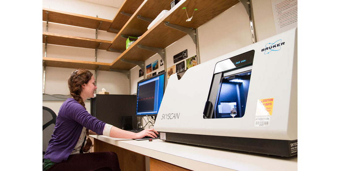 A woman researcher operates a CT scanner