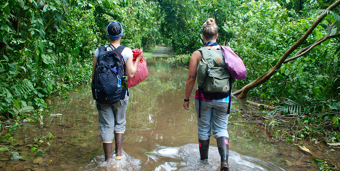 two people walking in water in the middle of a rainforest