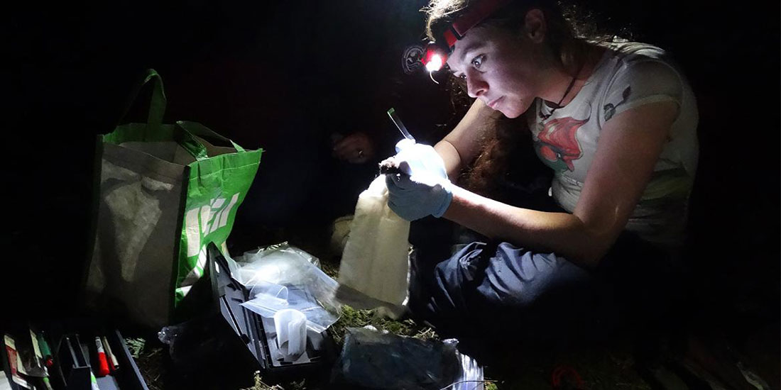 a young woman wears a headlight and holds a bat while working in the field at night