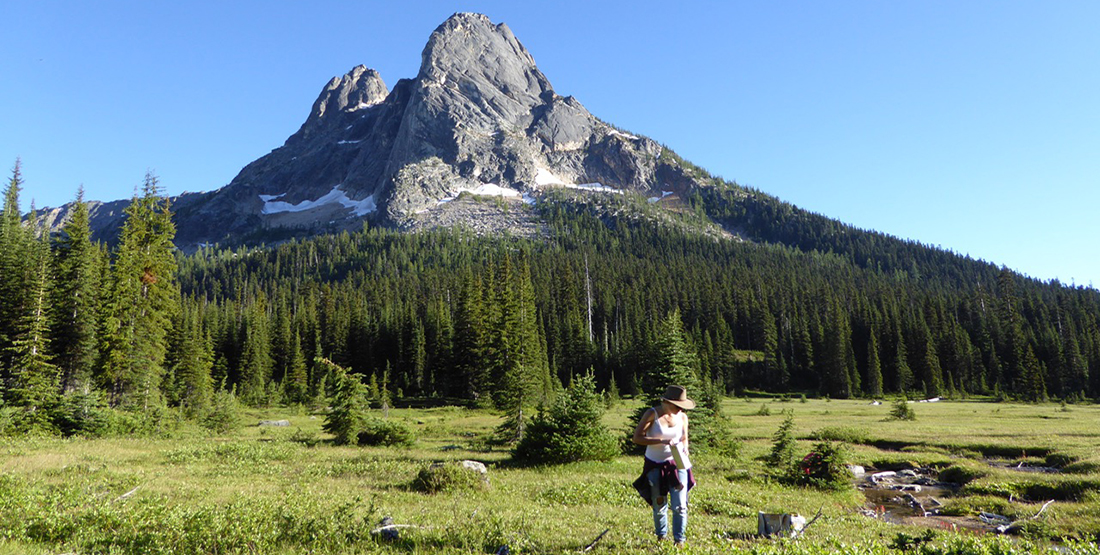 A woman researcher stands in a lush and boggy marsh with a mountain in the background