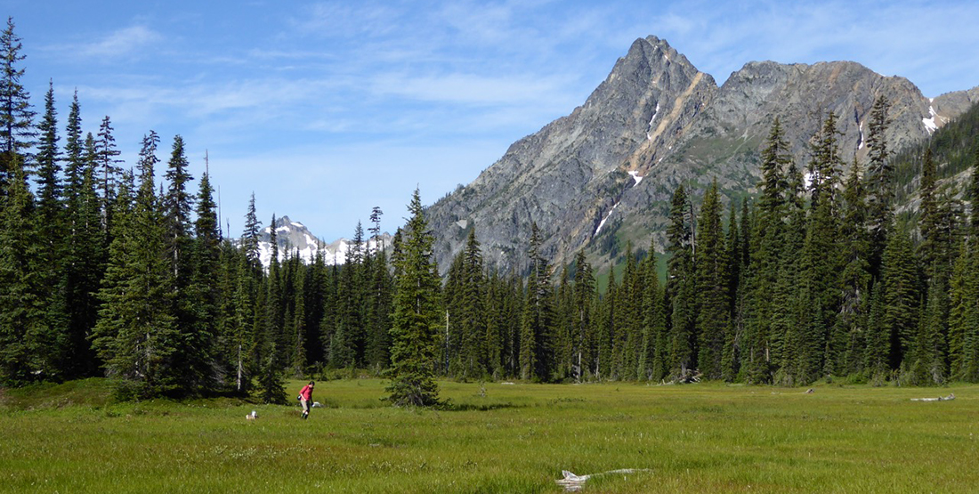 A man stands in a green meadow with a mountain in the background