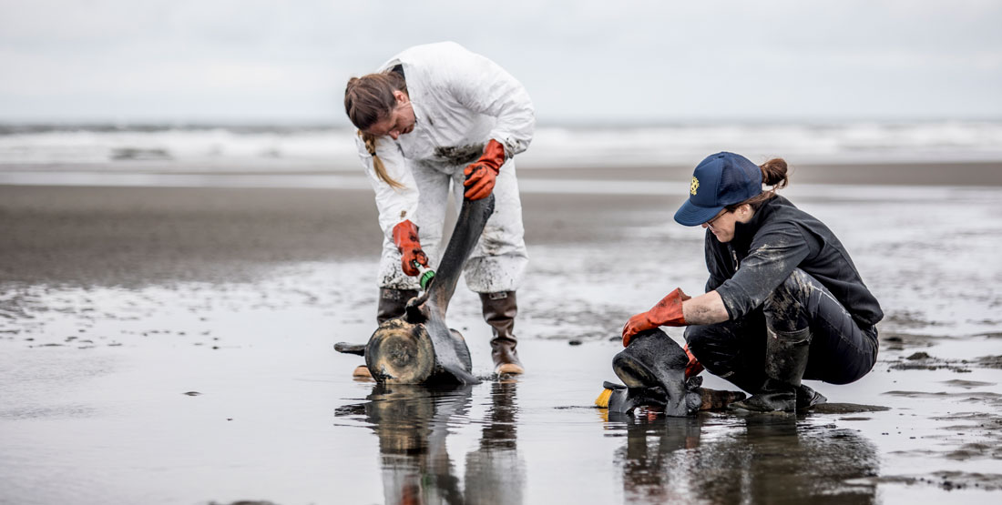 two women clean whale vertebrae on the beach