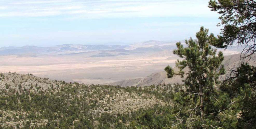 expansive view of the desert with forests in the background