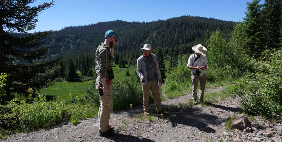2021 Foray attendees collecting a rocky slope along a Forest Service road.  