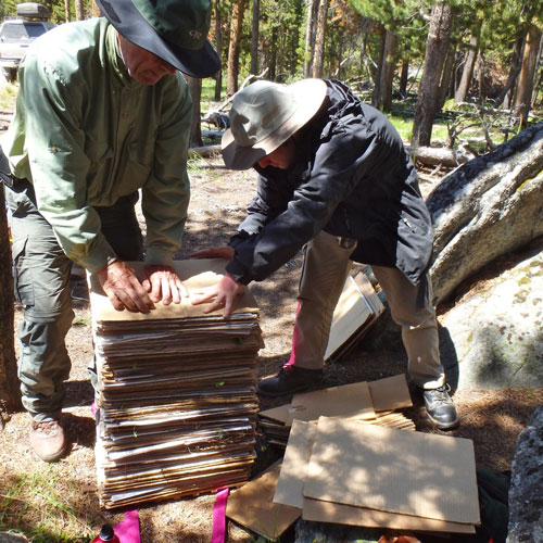 two men tighten the plant press around plan specimens they collected