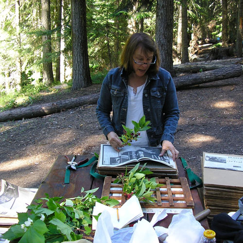 a woman presses plants between sheets of newspaper to dry