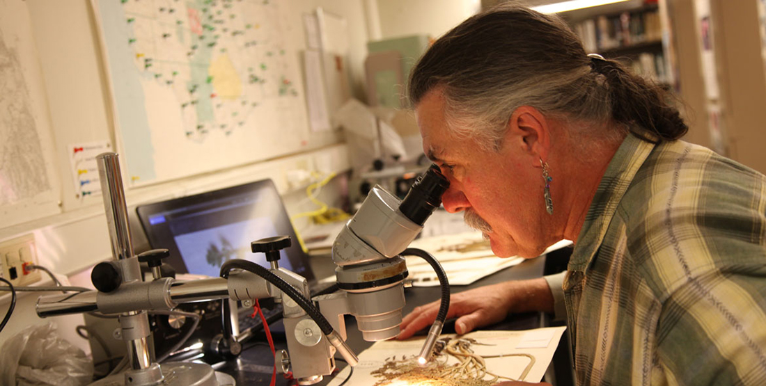 A man looking at a plant specimen through a microscope