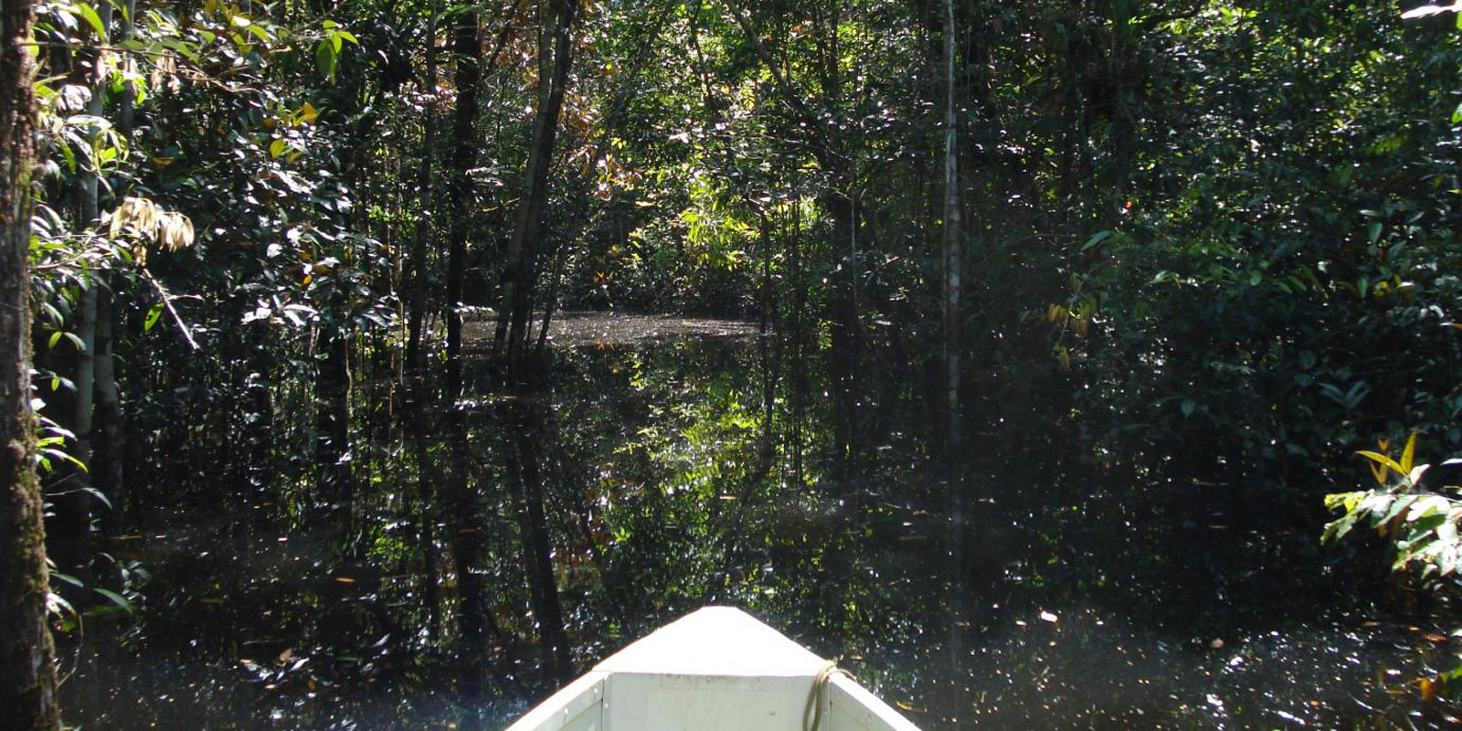 A boat flows through a calm river with trees on both side