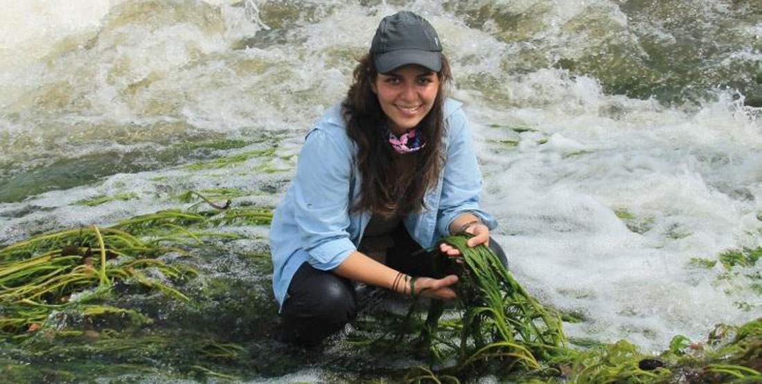 A woman researcher sits in the river holding green river weed