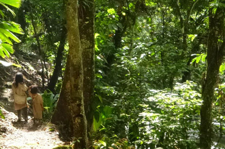 Two small children with brown clothes walk on a path in the forest