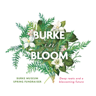 burke in bloom