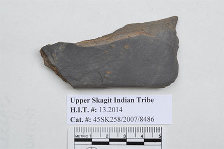 close up of a tool fragment with scale