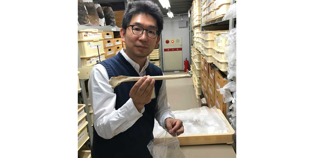 collection facility looking at fauna from the Fugoppe Cave 2 site. April 2018
