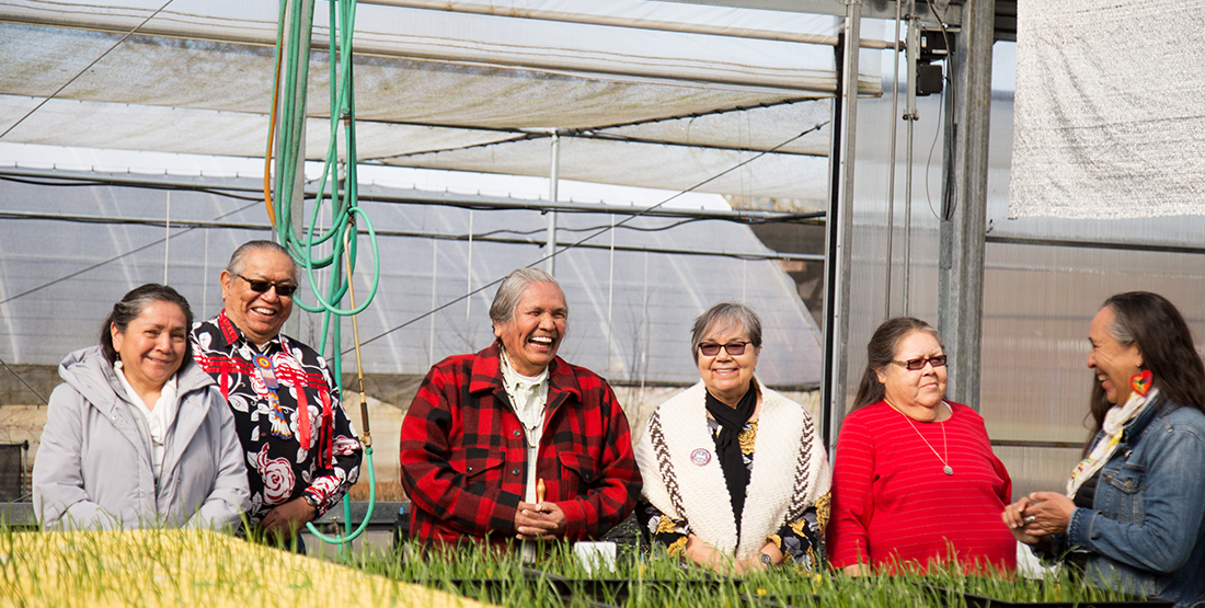 A group of people smile and stand behind seedlings in yellow containers