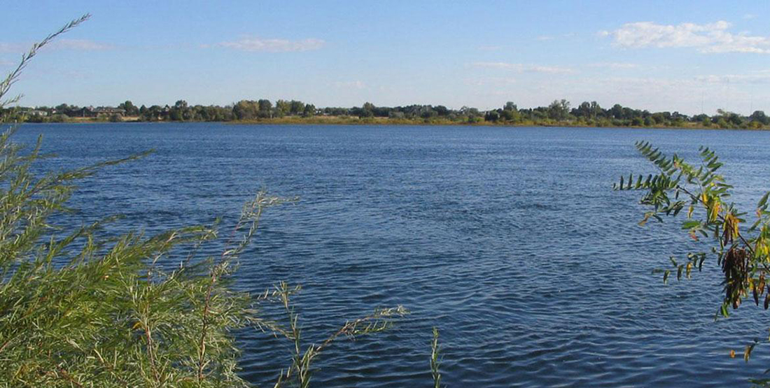 A view across a large river to see trees on the other side 