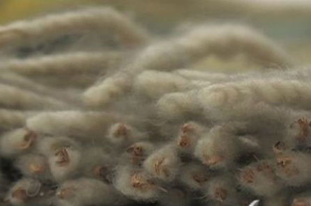A close up view of the fibers in the blanket