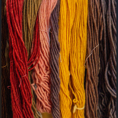Native Plants and Natural Dyes Workshop
