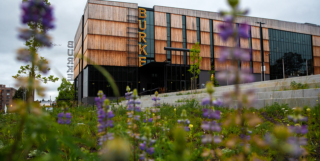 flowers and greenery flank the Burke Museum exterior