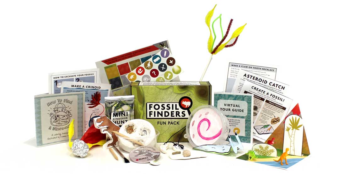 contents of fossil finders fun pack