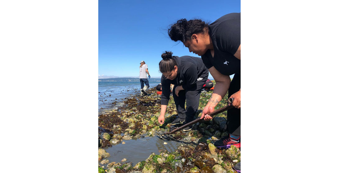 digging for clams